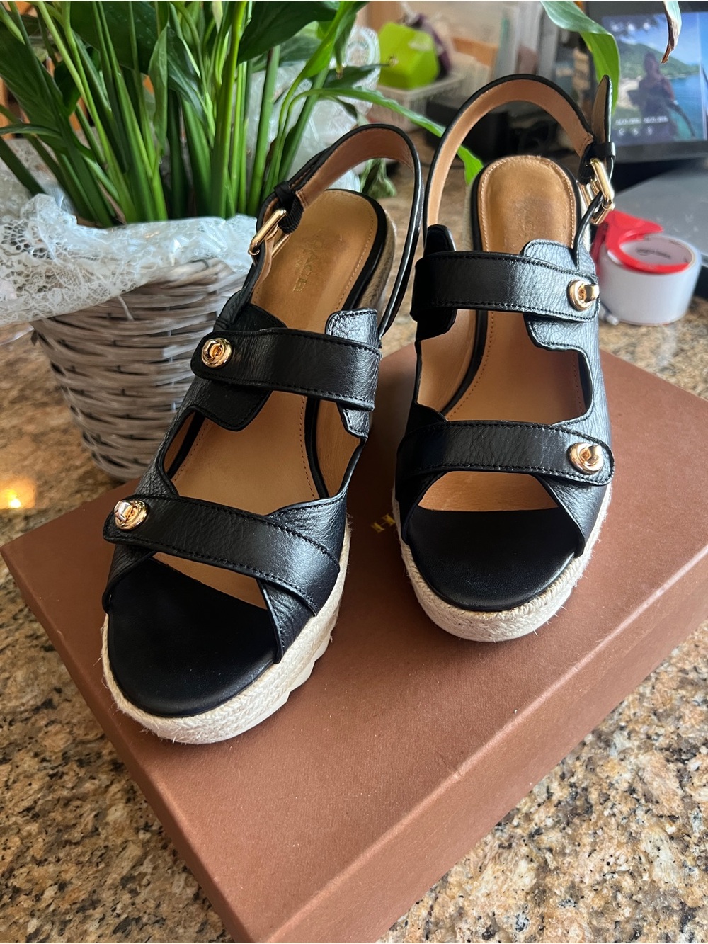Coach Electra espadrille high wedge sandals